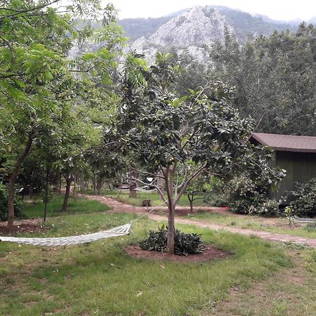 Kibala Hotel Чирали Екстериор снимка