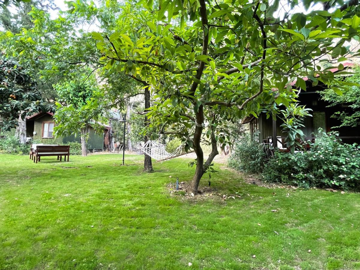 Kibala Hotel Чирали Екстериор снимка