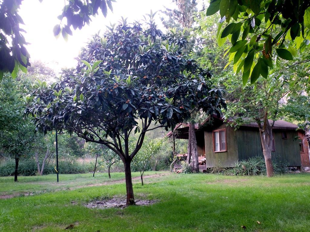 Kibala Hotel Чирали Екстериор снимка