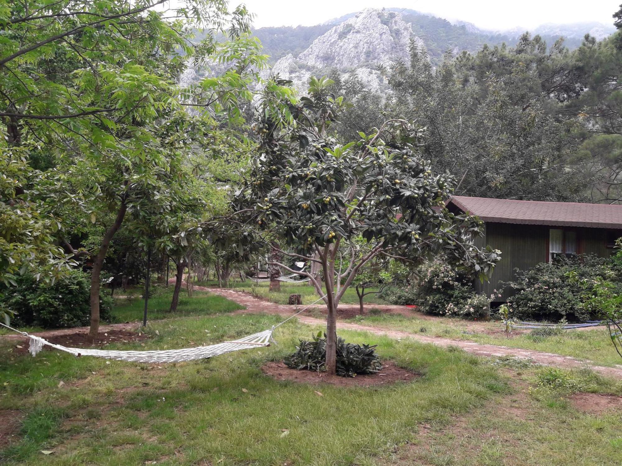 Kibala Hotel Чирали Екстериор снимка