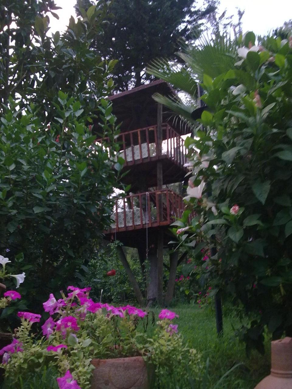 Kibala Hotel Чирали Екстериор снимка